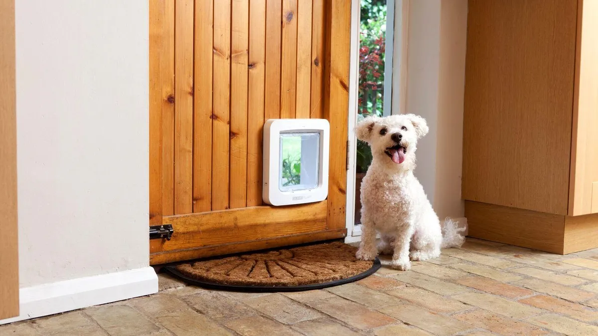 best smart pet doors